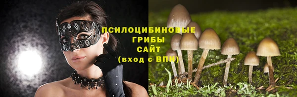 мет Арсеньев