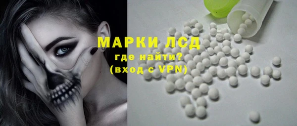 PSILOCYBIN Аркадак