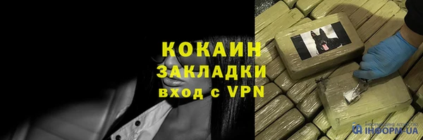 PSILOCYBIN Армянск