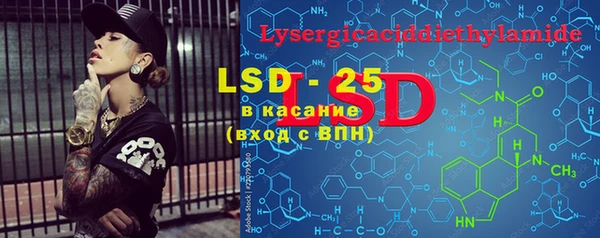 PSILOCYBIN Аркадак