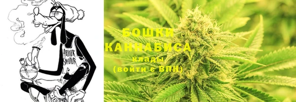 PSILOCYBIN Армянск