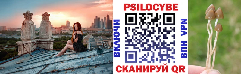 Псилоцибиновые грибы Magic Shrooms  Россошь 